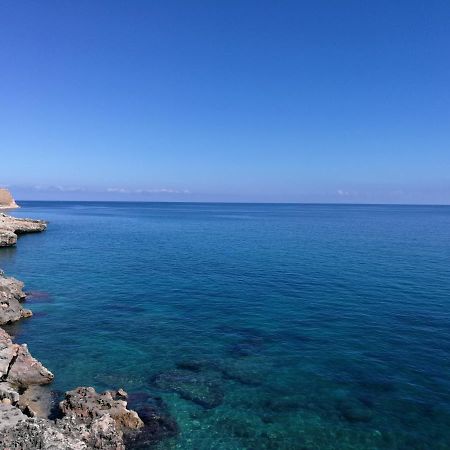 Casa Vacanze Nadi 巴勒莫 外观 照片